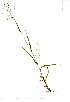  ( - YBK165)  @11 [ ] Copyright  - Unspecified