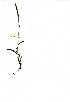  ( - YBK183)  @11 [ ] Copyright  - Unspecified