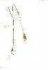  ( - YBK190)  @11 [ ] Copyright  - Unspecified