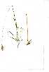  ( - YBK245)  @11 [ ] Copyright  - Unspecified
