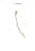  ( - YBK393)  @11 [ ] Copyright  - Unspecified