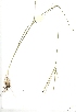  ( - YBK406)  @11 [ ] Copyright  - Unspecified