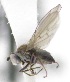  ( - KNWR-Ento-7840)  @12 [ ] No Rights Reserved (2014) Unspecified U.S. Fish and Wildlife Service