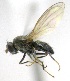  ( - KNWR-Ento-10625)  @13 [ ] No Rights Reserved (2014) Unspecified U.S. Fish and Wildlife Service