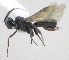  ( - KNWR 7573)  @12 [ ] No Rights Reserved (2013) Unspecified U.S. Fish and Wildlife Service