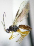  ( - KNWR 1853)  @13 [ ] No Rights Reserved (2012) Unspecified U.S. Fish and Wildlife Service