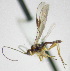  ( - KNWR 3661)  @12 [ ] No Rights Reserved (2012) Unspecified U.S. Fish and Wildlife Service