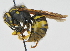  ( - KNWR 7215)  @14 [ ] No Rights Reserved (2012) Unspecified U.S. Fish and Wildlife Service