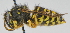  ( - KNWR 7961)  @14 [ ] No Rights Reserved (2012) Unspecified U.S. Fish and Wildlife Service