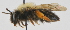  ( - KNWR 8381)  @13 [ ] No Rights Reserved (2012) Unspecified U.S. Fish and Wildlife Service