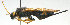  ( - KNWR 8613)  @13 [ ] No Rights Reserved (2012) Unspecified U.S. Fish and Wildlife Service