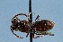  ( - KONoProj_46)  @11 [ ] CC BY-NC-SA 3.45 (2021) Unspecified York University