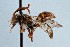  ( - KONoProj_63)  @11 [ ] CC BY-NC-SA 3.0 (2021) Unspecified York University