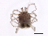  ( - 09PROBE-02343)  @13 [ ] CreativeCommons - Attribution (2009) Unspecified Centre for Biodiversity Genomics