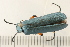  ( - 08OEC-044)  @13 [ ] CreativeCommons - Attribution (2008) Unspecified Centre for Biodiversity Genomics