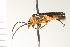  ( - 08OEC-011)  @14 [ ] CreativeCommons - Attribution (2008) Unspecified Centre for Biodiversity Genomics