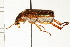  ( - 08OEC-081)  @13 [ ] CreativeCommons - Attribution (2008) Unspecified Centre for Biodiversity Genomics