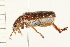  ( - 08OEC-173)  @13 [ ] CreativeCommons - Attribution (2008) Unspecified Centre for Biodiversity Genomics