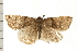  ( - 08OEC-029)  @14 [ ] CreativeCommons - Attribution (2008) Unspecified Centre for Biodiversity Genomics