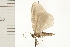  ( - 08OEC-137)  @12 [ ] CreativeCommons - Attribution (2008) Unspecified Centre for Biodiversity Genomics