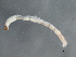  ( - 09PROBE-02128)  @12 [ ] CreativeCommons - Attribution (2009) Unspecified Centre for Biodiversity Genomics