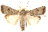  ( - BIOUG20646-A02)  @15 [ ] CreativeCommons - Attribution (2015) CBG Photography Group Centre for Biodiversity Genomics