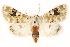  ( - BIOUG20646-B10)  @11 [ ] CreativeCommons - Attribution (2015) CBG Photography Group Centre for Biodiversity Genomics