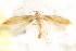  ( - BIOUG20646-E02)  @12 [ ] CreativeCommons - Attribution (2015) CBG Photography Group Centre for Biodiversity Genomics