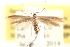  ( - BIOUG20646-E03)  @13 [ ] CreativeCommons - Attribution (2015) CBG Photography Group Centre for Biodiversity Genomics