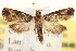  ( - BIOUG20646-E10)  @14 [ ] CreativeCommons - Attribution (2015) CBG Photography Group Centre for Biodiversity Genomics