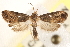  ( - BIOUG20646-E11)  @14 [ ] CreativeCommons - Attribution (2015) CBG Photography Group Centre for Biodiversity Genomics