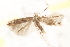  ( - BIOUG20646-H03)  @13 [ ] CreativeCommons - Attribution (2015) CBG Photography Group Centre for Biodiversity Genomics