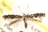  ( - BIOUG21233-B03)  @15 [ ] CreativeCommons - Attribution (2015) CBG Photography Group Centre for Biodiversity Genomics