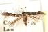  ( - BIOUG21233-B06)  @13 [ ] CreativeCommons - Attribution (2015) CBG Photography Group Centre for Biodiversity Genomics