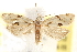  ( - BIOUG21233-B12)  @13 [ ] CreativeCommons - Attribution (2015) CBG Photography Group Centre for Biodiversity Genomics