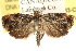  ( - BIOUG21233-C05)  @14 [ ] CreativeCommons - Attribution (2015) CBG Photography Group Centre for Biodiversity Genomics