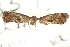 ( - BIOUG21233-H05)  @12 [ ] CreativeCommons - Attribution (2015) CBG Photography Group Centre for Biodiversity Genomics