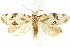  ( - BIOUG24422-A05)  @12 [ ] CreativeCommons - Attribution (2015) CBG Photography Group Centre for Biodiversity Genomics