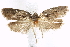  ( - BIOUG24422-B05)  @13 [ ] CreativeCommons - Attribution (2015) CBG Photography Group Centre for Biodiversity Genomics