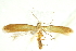  (Coptotriche badiiella - BIOUG24422-E01)  @14 [ ] CreativeCommons - Attribution (2015) CBG Photography Group Centre for Biodiversity Genomics