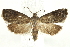  ( - BIOUG24422-E11)  @14 [ ] CreativeCommons - Attribution (2015) CBG Photography Group Centre for Biodiversity Genomics