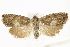  ( - BIOUG24422-F05)  @13 [ ] CreativeCommons - Attribution (2015) CBG Photography Group Centre for Biodiversity Genomics
