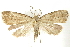  ( - BIOUG24422-G05)  @14 [ ] CreativeCommons - Attribution (2015) CBG Photography Group Centre for Biodiversity Genomics