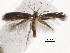  ( - BIOUG34129-E05)  @11 [ ] CreativeCommons - Attribution (2018) CBG Photography Group Centre for Biodiversity Genomics