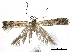  ( - BIOUG44120-E04)  @12 [ ] CreativeCommons - Attribution (2019) CBG Photography Group Centre for Biodiversity Genomics