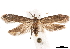  ( - BIOUG44120-G10)  @14 [ ] CreativeCommons - Attribution (2018) CBG Photography Group Centre for Biodiversity Genomics