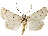  ( - BIOUG51059-G11)  @11 [ ] CreativeCommons - Attribution (2020) CBG Photography Group Centre for Biodiversity Genomics