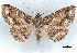  ( - BIOUG62319-B08)  @11 [ ] CreativeCommons - Attribution (2020) CBG Photography Group Centre for Biodiversity Genomics