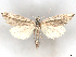  ( - BIOUG71202-E09)  @11 [ ] CreativeCommons - Attribution (2021) CBG Photography Group Centre for Biodiversity Genomics