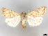  ( - BIOUG71202-H06)  @11 [ ] CreativeCommons - Attribution (2021) CBG Photography Group Centre for Biodiversity Genomics